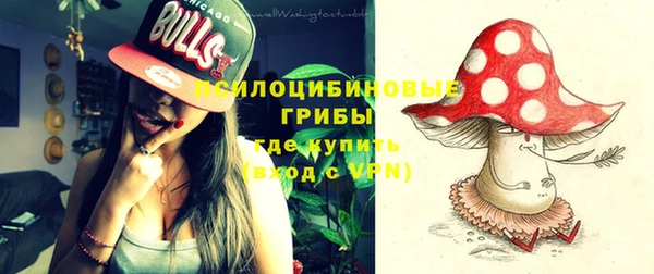 PSILOCYBIN Алексеевка