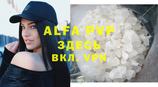 спиды Алзамай