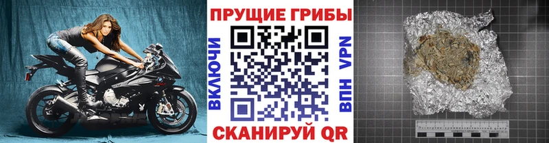 что такое наркотик  Белебей  Псилоцибиновые грибы GOLDEN TEACHER 